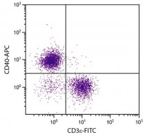 anti-CD40 antibody [1C10] (APC)