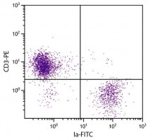 anti-Ia Antigen antibody [CIa] (FITC)