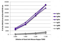 Goat anti-Mouse Kappa Light Chain antibody (Texas Red), pre-adsorbed