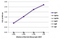 Rat anti-Mouse IgG1 antibody [SB77e] (Biotin)