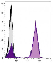 Rat anti-Mouse IgG1 antibody [SB77e] (PE)