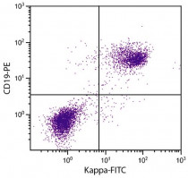 Rat anti-Mouse Kappa Light Chain antibody [187.1] (FITC)
