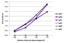 Rat anti-Mouse Kappa Light Chain antibody [187.1] (AP)