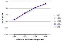 Mouse anti-Rat IgG2c antibody [2C8F1] (Biotin)