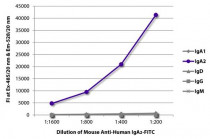 Mouse anti-Human IgA2 (Fc) antibody [A9604D2] (FITC)