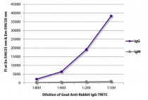 Goat anti-Rabbit IgG antibody (TRITC), pre-adsorbed