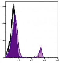 anti-CD8a antibody [53-6.7] (APC-Cyanine 7)