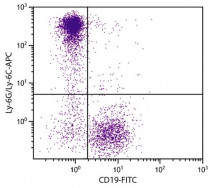 anti-Ly6G + Ly6C antibody [RB6-8C5] (APC)