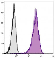 anti-CD44 antibody [F10-44-2] (FITC)