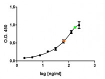 anti-Apolipoprotein E antibody [WUE-4]