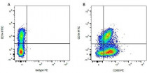 anti-CD80 antibody [IL-A159] (PE)