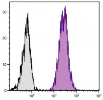 Goat anti-Rat Ig antibody (PE), pre-adsorbed