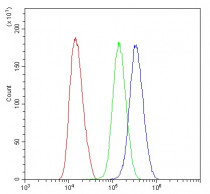 anti-Plasminogen antibody