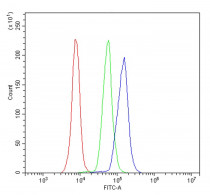 anti-CD4 antibody
