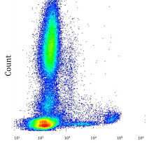 anti-IgE antibody [4H10] (APC)