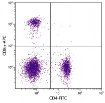 anti-CD8a antibody [53-6.7] (APC)