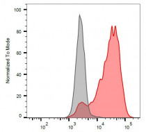 anti-HLA E antibody [MEM-E/07] (Biotin)