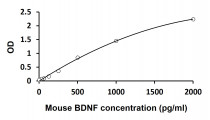 Mouse BDNF ELISA Kit