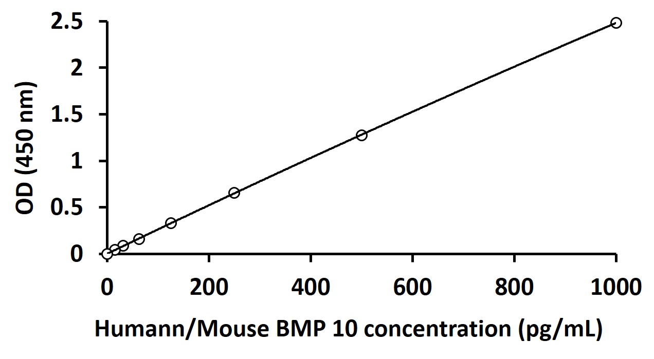 Human / Mouse BMP10 ELISA Kit