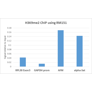 ChIP